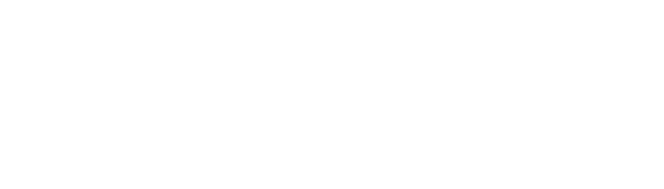 Nasua Travel