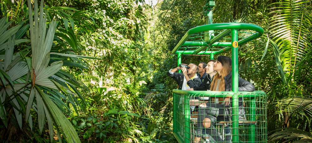 Rain Forest Aerial Tram