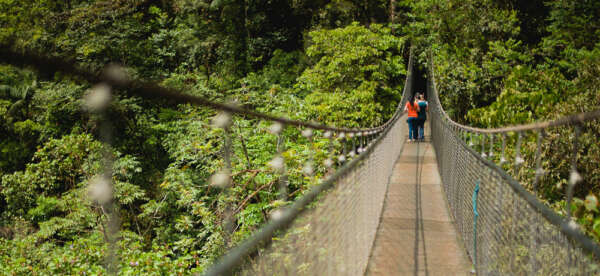 Bridges Tour