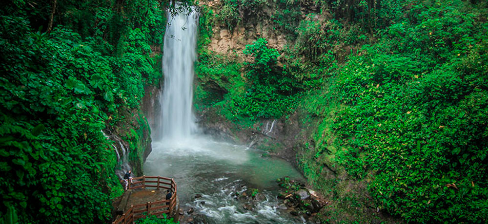 Combo Tour: Doka, Poás Volcano & La Paz Waterfall